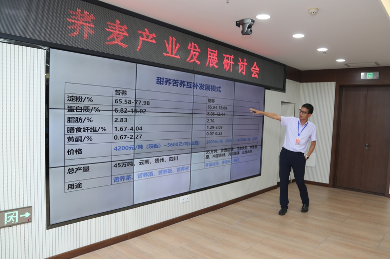 定边县召开荞麦产业高质量发展研讨会(图4)