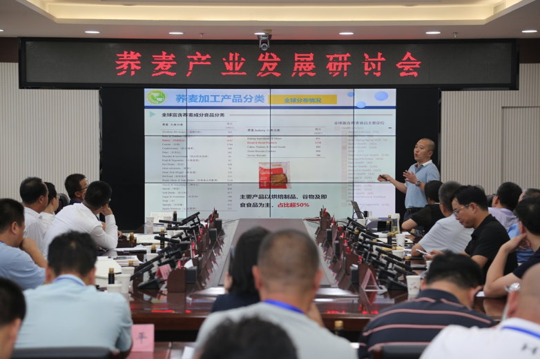 定边县召开荞麦产业高质量发展研讨会(图6)