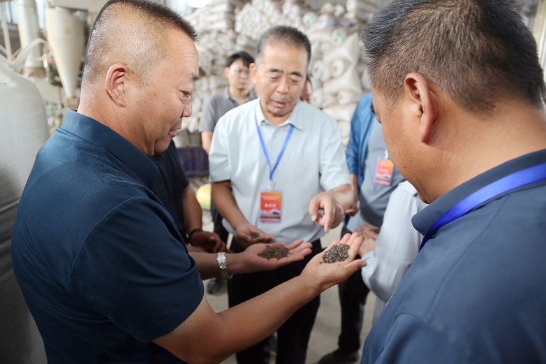 定边县召开荞麦产业高质量发展研讨会(图8)